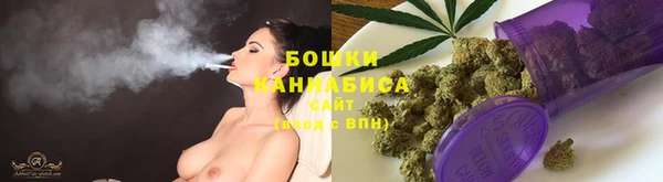 винт Няндома